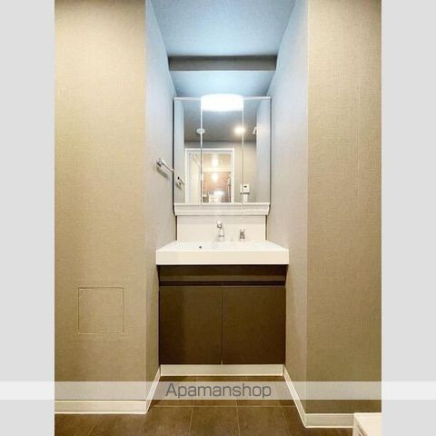 ＳーＲＥＳＩＤＥＮＣＥ板橋大山ｂｒｉｍ[2LDK/50.65m2]の洗面所