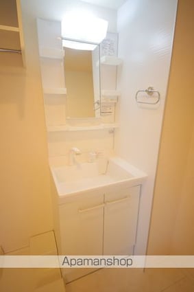 ルピナス堀之内[1R/25.31m2]の洗面所