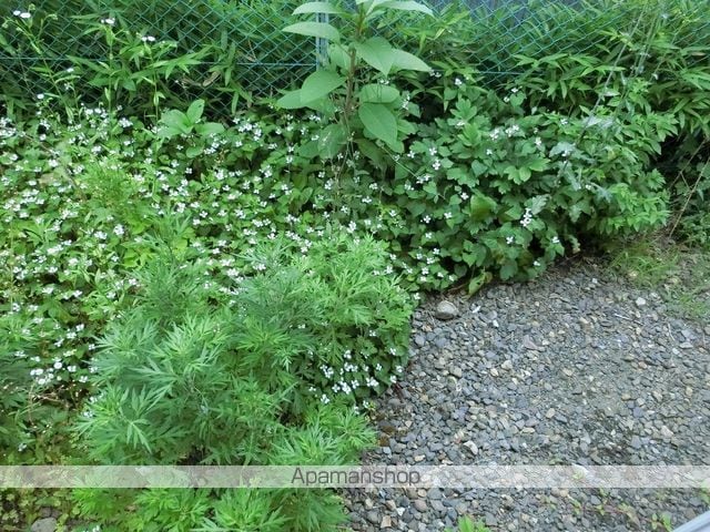 ARBORSの内装写真