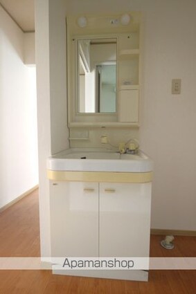 大西屋浜ハイツＣ[2DK/45m2]の洗面所