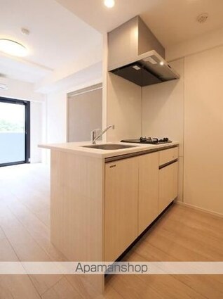 東京都中野区東中野５丁目[1DK/27.12m2]のキッチン