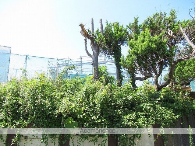 グリーンピースの外観写真