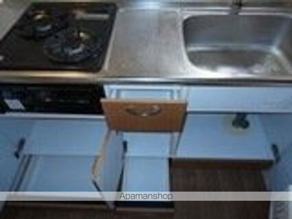 ルミナス・ウッド[1LDK/36m2]のキッチン