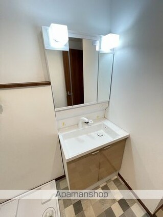 アルプス[1LDK/39.74m2]の洗面所