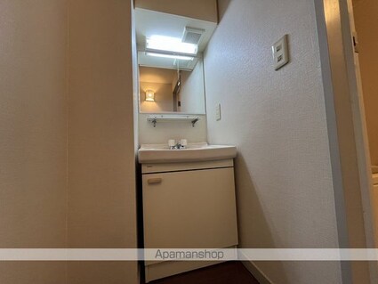 クリスタルコート[1R/27.3m2]の洗面所