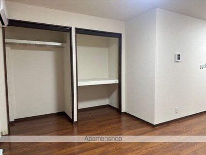 愛知県一宮市三ツ井６丁目[2DK/45.5m2]の収納