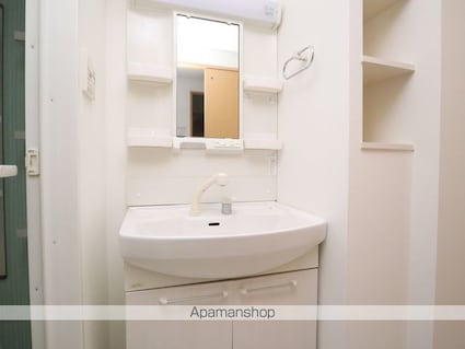 ムーランマグノリア[1LDK/46.96m2]の洗面所