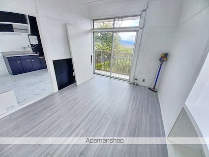 ＤＳハイツ蟻ケ崎[2DK/50m2]の内装5