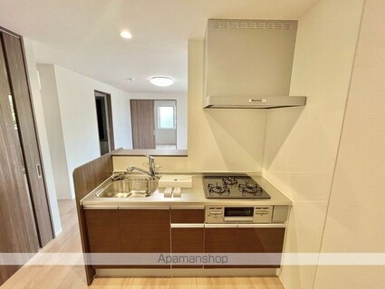 Ｄレジデンス東近江[1LDK/41.86m2]のキッチン