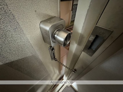 メゾンドールアザリア[1K/28m2]のセキュリティ