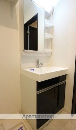 ＧＲＡＮＤＴＩＣ　ＫＲＳ[1LDK/29.98m2]の洗面所