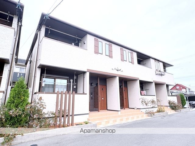 アイリス初生C