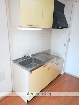 パレットキューブ公津の杜Ｅ棟[2LDK/57.97m2]のキッチン