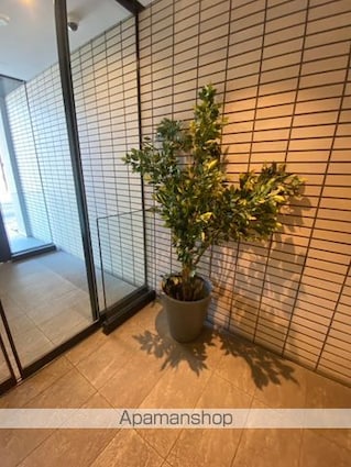 Ｃｉｔｙ　Ｌｕｘ　Ｔｏｂｅ[1K/22.77m2]のロビー