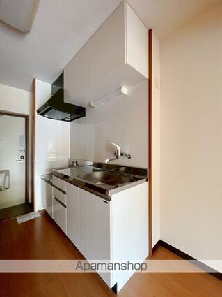 アースグローリエ[1K/30.35m2]のキッチン