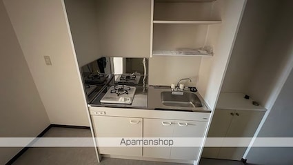 ＡＰＥＸ　ＦＬＡＴ[1K/26.4m2]のキッチン