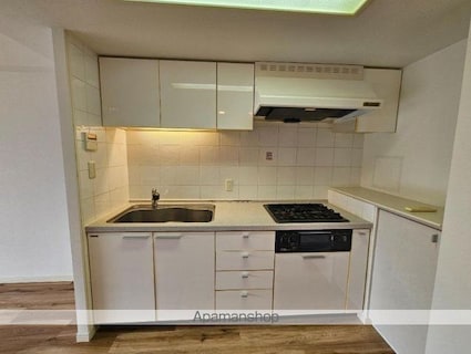 東京都中野区丸山１丁目[2LDK/60.73m2]のキッチン