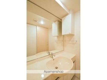 ＫＤＸレジデンス半蔵門[1R/36.66m2]の洗面所