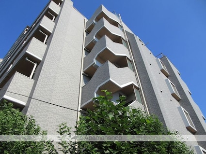 スペーシア高円寺Ⅰ[1K/29.64m2]の外観4