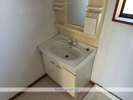 コーポライオン[2LDK/52.99m2]の洗面所