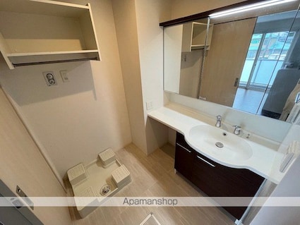 ティーガーデンレジデンス[1LDK/42.62m2]の洗面所