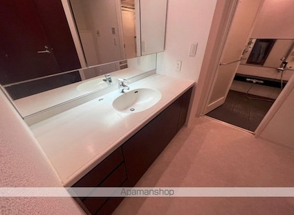 ブリリアタワー東京[3LDK/96.27m2]の洗面所