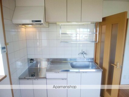 サングリーン藤沢[2DK/50.54m2]のキッチン