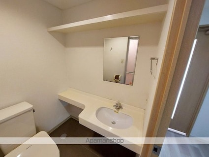 ウィステリア道後[1K/28.8m2]の洗面所