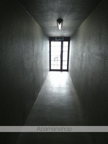 たんぽぽのその他写真