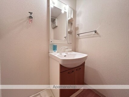 ファームハウス・ヒーロー[1K/33.06m2]の洗面所