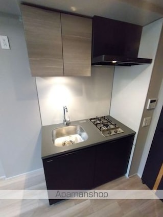 ザ・ライオンズフォーシア文京湯島[1DK/25.56m2]のキッチン