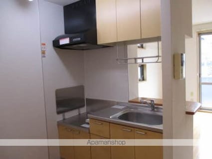 ランウェイ[1R/28m2]のキッチン