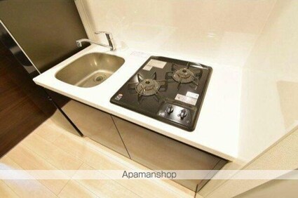 ジェノヴィア新宿早稲田グリーンヴェール[1K/25.59m2]のキッチン