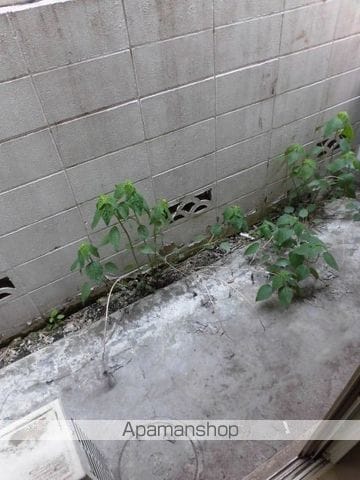高円寺ヴィレッヂIIの内装写真