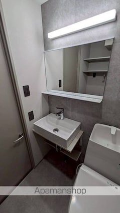 ｔｈｅ　ｔｒｉａｓ　ｋａｓｈｉｗａ[1R/20.5m2]の洗面所