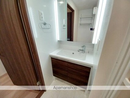 Ｇｒａｃｅ　Ｙａｍａ（グレイス　ヤマ）[1LDK/42.93m2]の洗面所