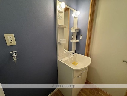 緑風館中央[2LDK/61.6m2]の洗面所