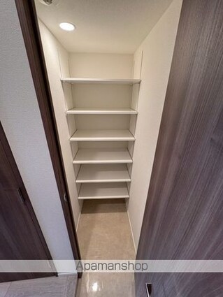Ｓ－ＲＥＳＩＤＥＮＣＥ高島平ａｓｏｌｅａ[1LDK/33.78m2]の収納