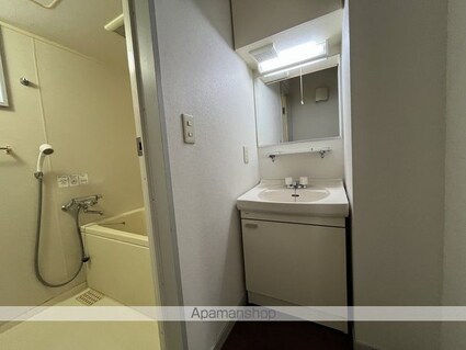 クリスタルコート[1R/27.3m2]の洗面所