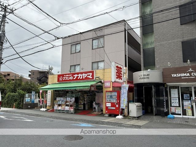 D PAINA 登戸IIの周辺写真