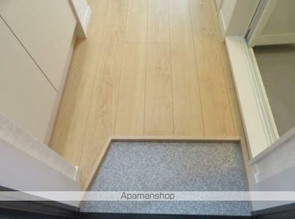 フェリスキング[1R/9.38m2]の玄関