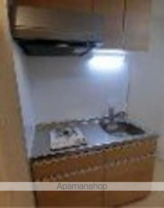 ミレドゥーエ両国[1K/26.46m2]のキッチン