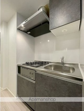 ルミークアン北上野[1K/25.57m2]のキッチン