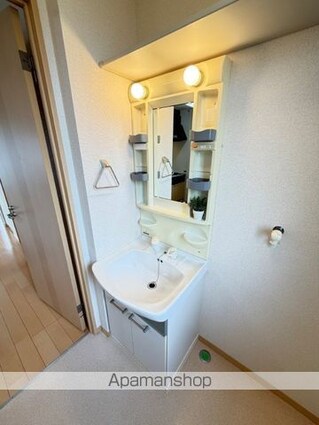 熊本県宇城市松橋町曲野[2LDK/50.78m2]の洗面所