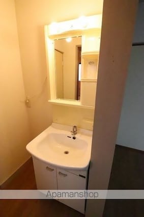 メゾン武蔵野[2DK/42.96m2]の洗面所