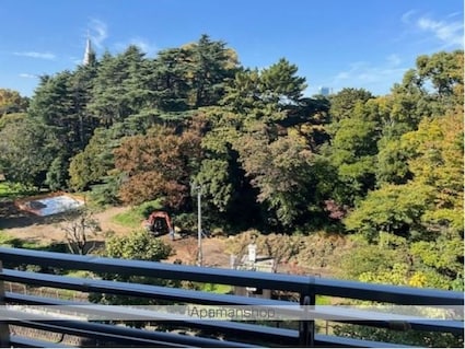 東京都新宿区大京町[1K/20.52m2]の眺望