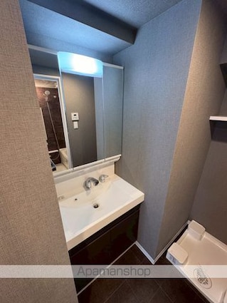 ＳーＲＥＳＩＤＥＮＣＥ板橋大山ｂｒｉｍ[2LDK/50.65m2]の洗面所