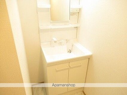 エコルポミエ[1R/27.97m2]の洗面所