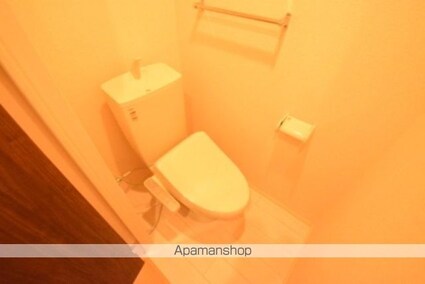 シティパル流星台[1LDK/30.38m2]のトイレ