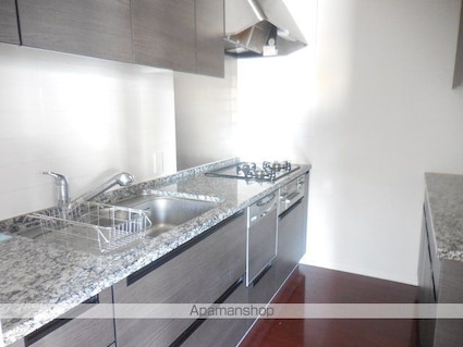 パークハウス飯田橋レジデンス[1LDK/47.76m2]のキッチン